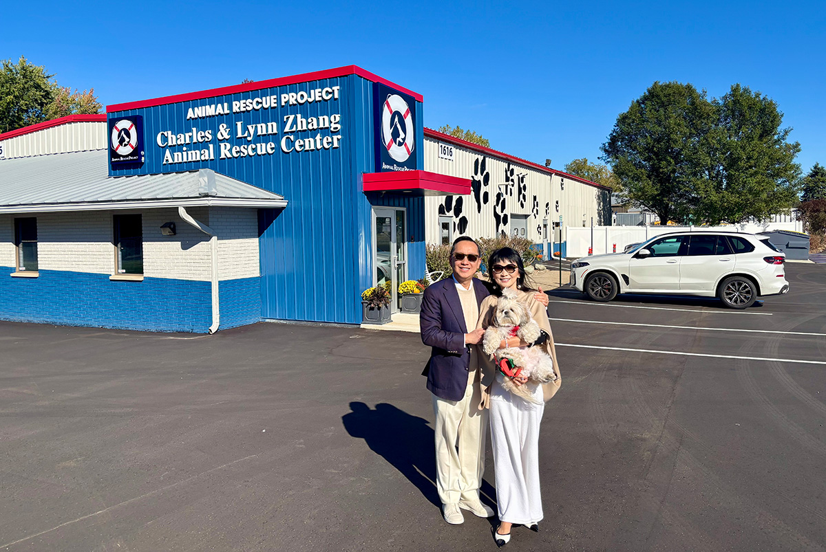 Animal-rescue-center-2